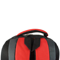 großer, stabiler Rucksack mit gepolsterten Gurten und Rückenpolster